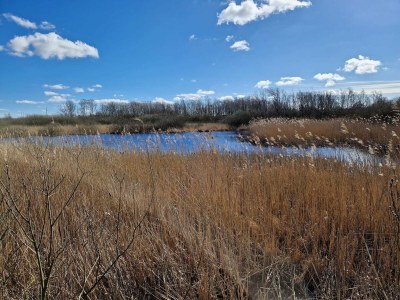 Holiday house 6 person holiday home in Bredebro - Outdoor photo 11