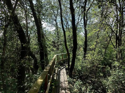 Holiday house 6 person holiday home in Bredebro - Outdoor photo 15