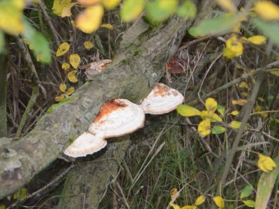 Holiday house 6 person holiday home in Bredebro - Outdoor photo 19