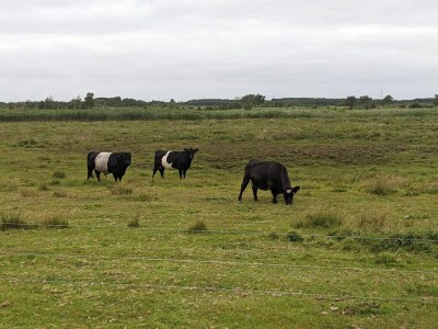 Holiday house 6 person holiday home in Bredebro - Outdoor photo 24