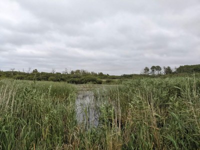 Holiday house 6 person holiday home in Bredebro - Outdoor photo 31