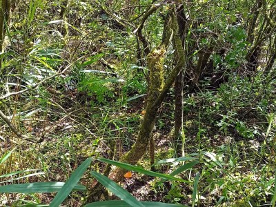 Holiday house 6 person holiday home in Bredebro - Outdoor photo 32