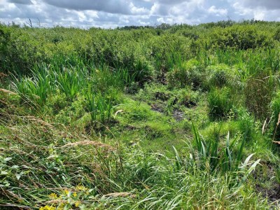 Holiday house 6 person holiday home in Bredebro - Outdoor photo 33