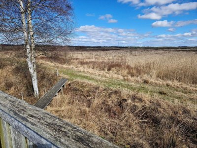 Holiday house 6 person holiday home in Bredebro - Outdoor photo 34