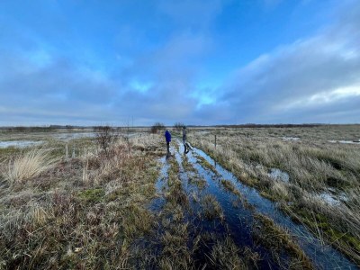 Holiday house 6 person holiday home in Bredebro - Outdoor photo 35