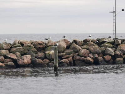 Holiday house 10 Personen Ferienhaus in Rudkøbing - Outdoor photo 6