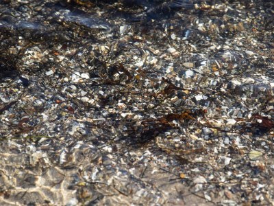 Holiday house Kustenzauber in Binderup-By Traum - Outdoor photo 13