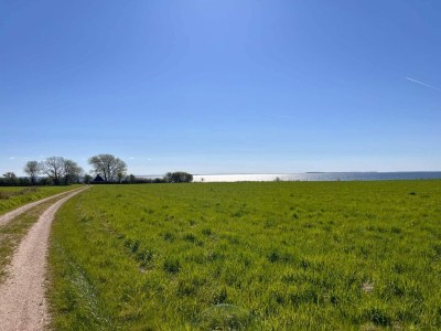 Holiday house Kustenzauber in Binderup-By Traum - Outdoor photo 15