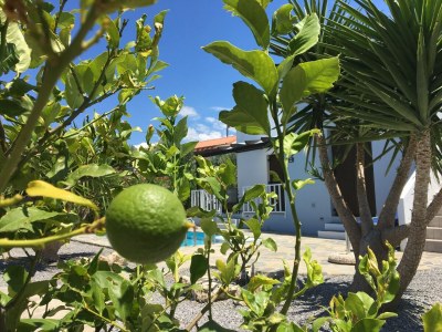 Villa Villa in Kirianna mit privatem Pool - Outdoor photo 22