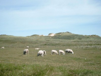 Holiday house 6 person holiday home in Løkken-By Traum - Outdoor photo 29