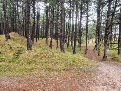 Holiday house 8 person holiday home in Rømø-By Traum - Outdoor photo 25