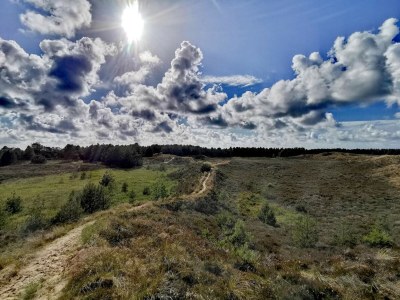 Holiday house 8 person holiday home in Rømø-By Traum - Outdoor photo 26