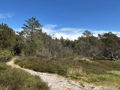 Holiday house 8 person holiday home in Rømø-By Traum - Outdoor photo 29