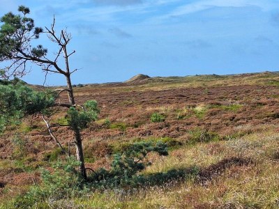 Holiday house 8 person holiday home in Rømø-By Traum - Outdoor photo 31
