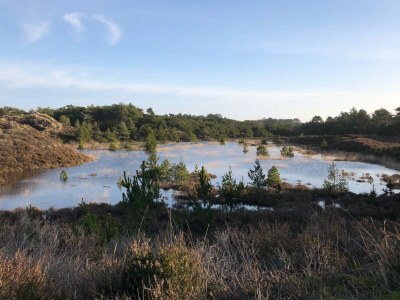 Holiday house 8 person holiday home in Rømø-By Traum - Outdoor photo 32