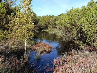 Holiday house 8 person holiday home in Rømø-By Traum - Outdoor photo 33