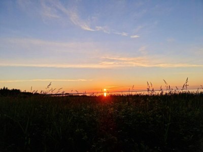 Holiday house 4 person holiday home in Ulfborg-By Traum - Outdoor photo 9