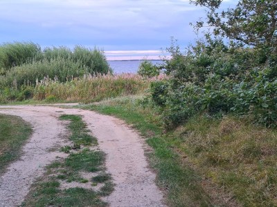 Holiday house 4 person holiday home in Ulfborg-By Traum - Outdoor photo 12