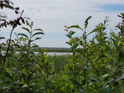 Holiday house 4 person holiday home in Ulfborg-By Traum - Outdoor photo 16