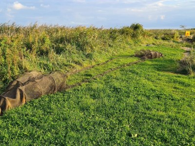 Holiday house 4 person holiday home in Ulfborg-By Traum - Outdoor photo 25