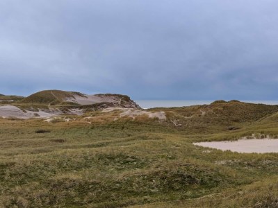 Holiday house 4 person holiday home in Ulfborg-By Traum - Outdoor photo 28