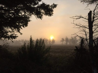 Holiday house 4 person holiday home in Ulfborg-By Traum - Outdoor photo 37