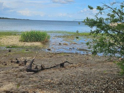 Holiday house 6 Personen Ferienhaus in Aabenraa-By Traum - Outdoor photo 37
