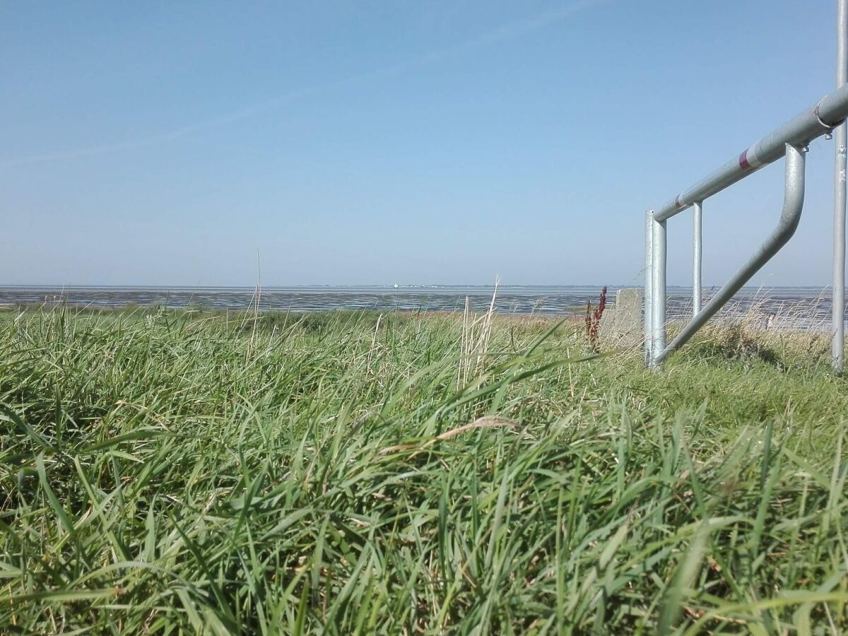 Holiday house 7 Personen Ferienhaus in Bredebro-By Traum - Outdoor photo 5