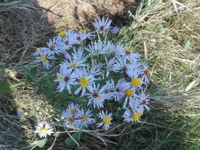 Holiday house 7 Personen Ferienhaus in Bredebro-By Traum - Outdoor photo 4