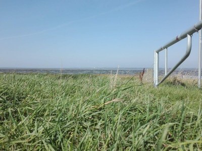 Holiday house 7 Personen Ferienhaus in Bredebro-By Traum - Outdoor photo 5