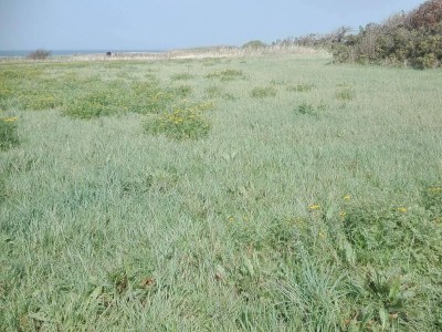 Holiday house 7 Personen Ferienhaus in Bredebro-By Traum - Outdoor photo 6