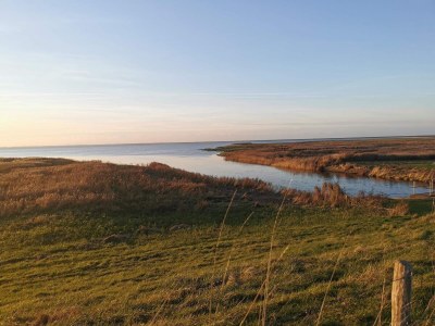 Holiday house 7 Personen Ferienhaus in Bredebro-By Traum - Outdoor photo 7