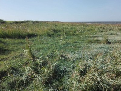 Holiday house 7 Personen Ferienhaus in Bredebro-By Traum - Outdoor photo 11