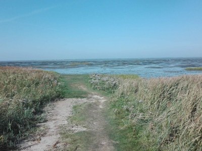 Holiday house 7 Personen Ferienhaus in Bredebro-By Traum - Outdoor photo 12