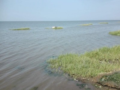 Holiday house 7 Personen Ferienhaus in Bredebro-By Traum - Outdoor photo 13