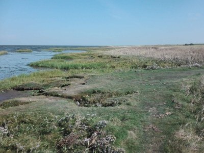 Holiday house 7 Personen Ferienhaus in Bredebro-By Traum - Outdoor photo 15