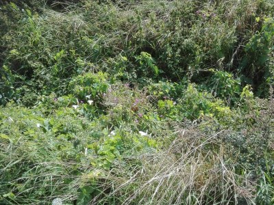 Holiday house 7 Personen Ferienhaus in Bredebro-By Traum - Outdoor photo 16