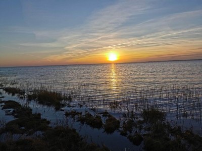 Holiday house 7 Personen Ferienhaus in Bredebro-By Traum - Outdoor photo 30