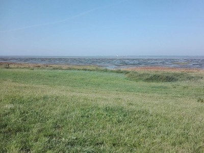 Holiday house 7 Personen Ferienhaus in Bredebro-By Traum - Outdoor photo 37