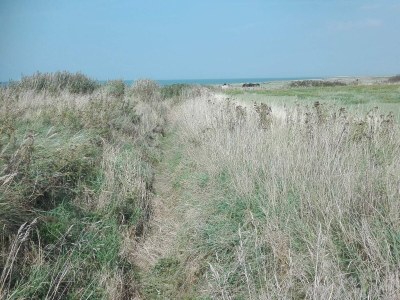 Holiday house 7 Personen Ferienhaus in Bredebro-By Traum - Outdoor photo 38