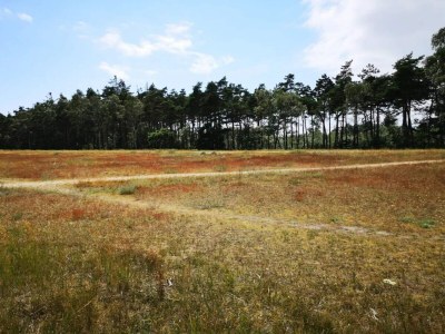 Holiday house 8 person holiday home in Væggerløse - Outdoor photo 49