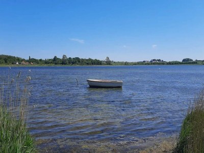 Holiday house 8 person holiday home in Væggerløse - Outdoor photo 50