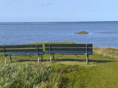 Holiday house 11 Personen Ferienhaus in Ørsted-By Traum - Outdoor photo 7