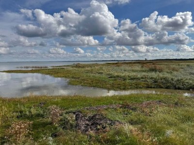 Holiday house 11 Personen Ferienhaus in Ørsted-By Traum - Outdoor photo 11