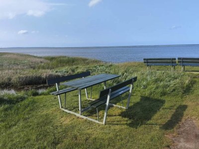 Holiday house 11 Personen Ferienhaus in Ørsted-By Traum - Outdoor photo 12