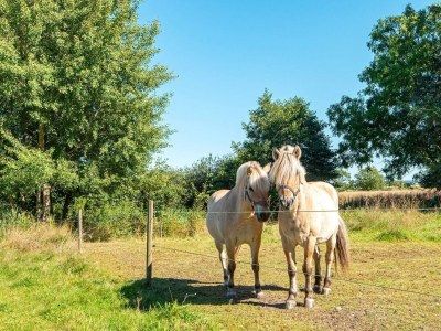 Holiday house 11 Personen Ferienhaus in Ørsted-By Traum - Outdoor photo 14