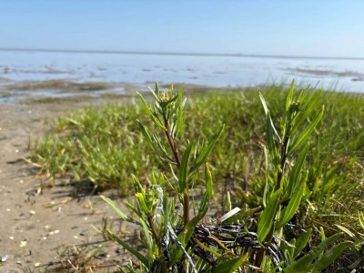 Holiday house 11 Personen Ferienhaus in Ørsted-By Traum - Outdoor photo 17