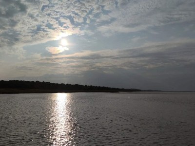 Holiday house 11 Personen Ferienhaus in Ørsted-By Traum - Outdoor photo 39