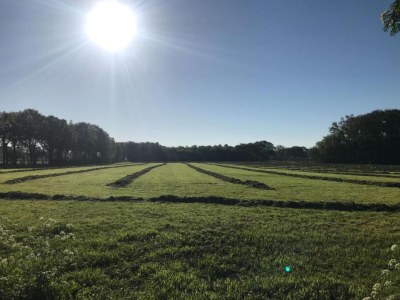 Bungalow Bungalow in Holten nahe Waldwegen - Environment photo 30
