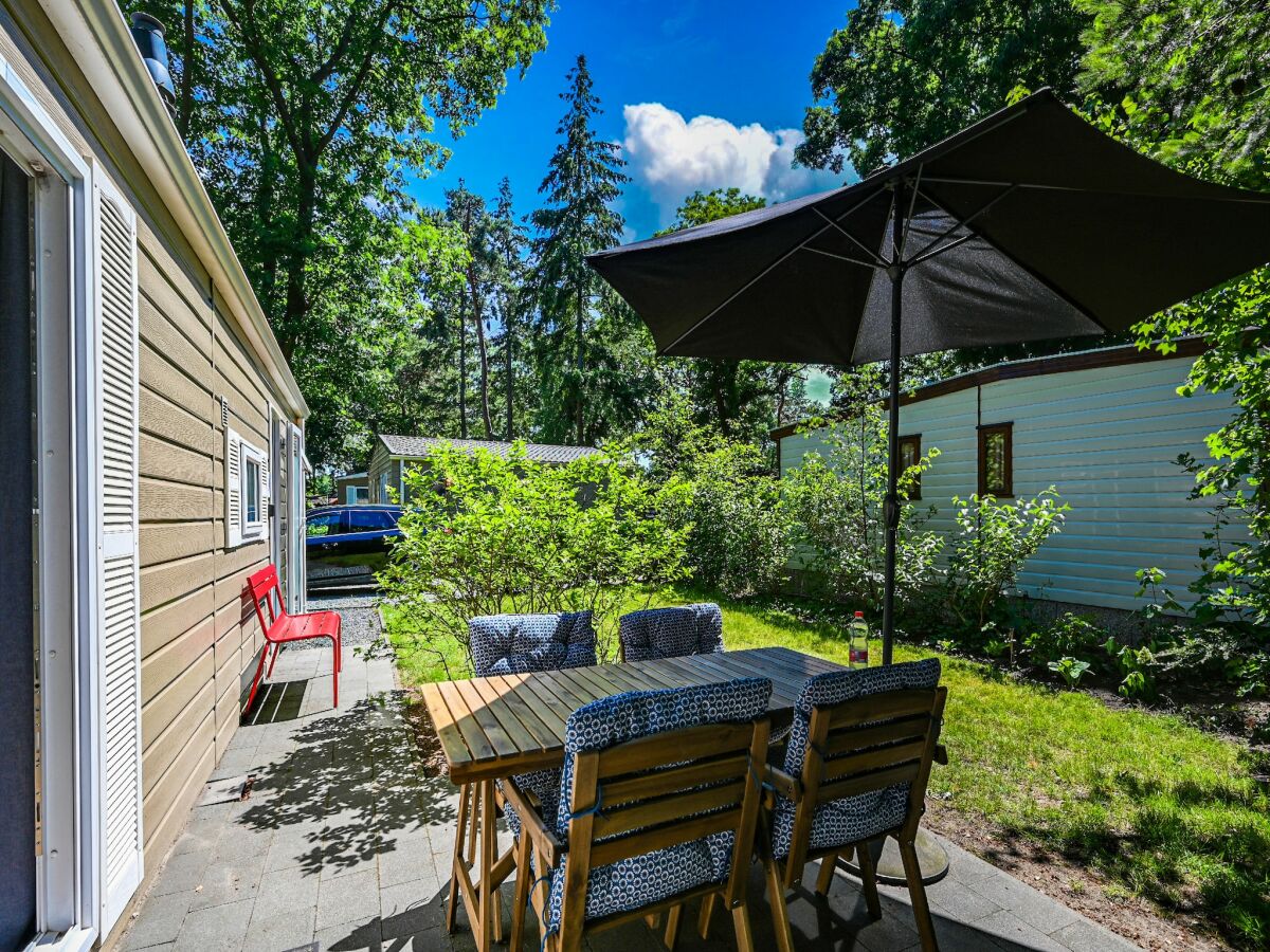 Chalet Modern chalet in Voorthuizen near the forest